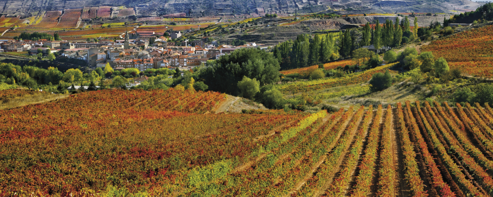 November in the Rioja Alta: unique landscapes and eternal vineyards