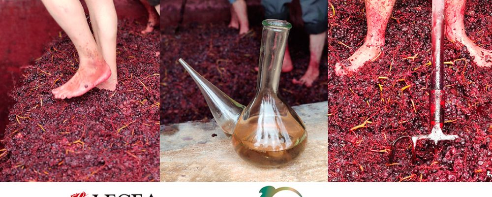 Bodegas Lecea receives the National Award for its work in preserving the Historical Heritage