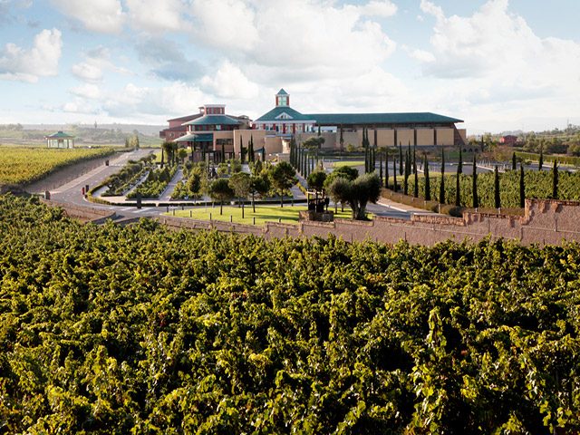 Vivanco Wineries