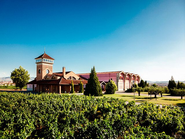 Viña Ijalba