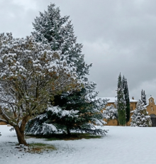 Diciembre en la Ruta del Vino Rioja Alta: enoturismo con sabor navideño