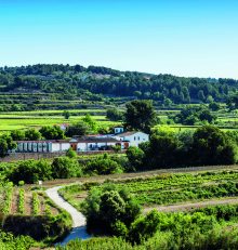 ACEVIN falla los VIII Premios de Enoturismo Rutas del Vino de España