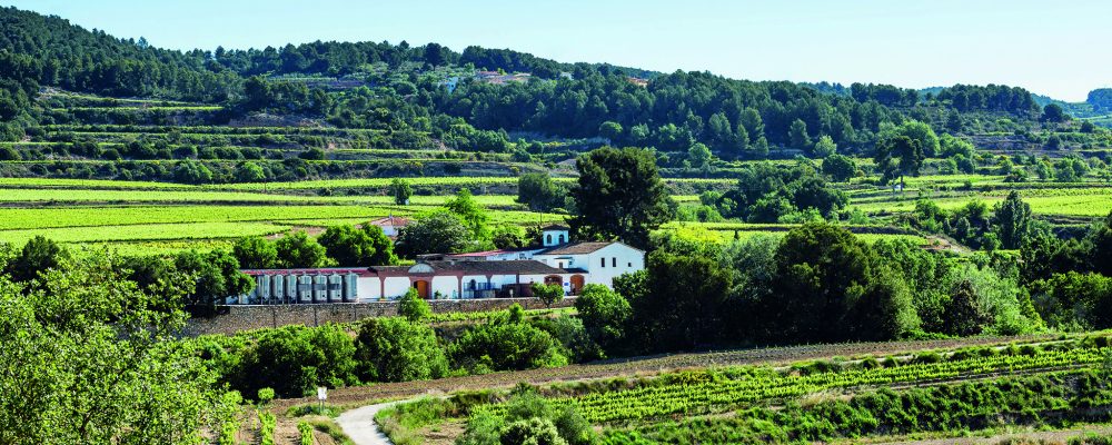 ACEVIN falla los VIII Premios de Enoturismo Rutas del Vino de España