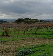 December in the Rioja Alta: wine tourism with a Christmas flavour