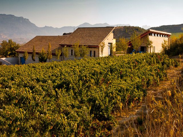 Bodega Valenciso